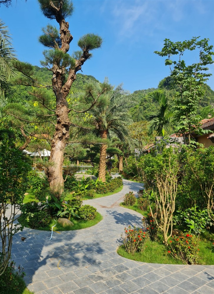 Dịch vụ ăn uống